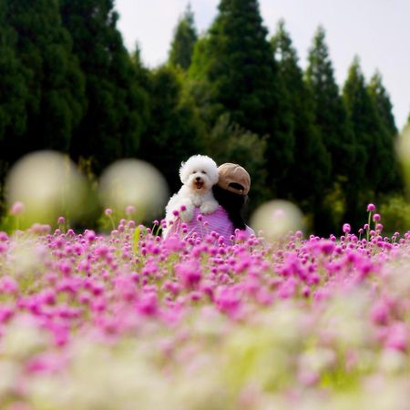 くじゅう花公園　キャンピングリゾート花と星 Kuju 외부 사진