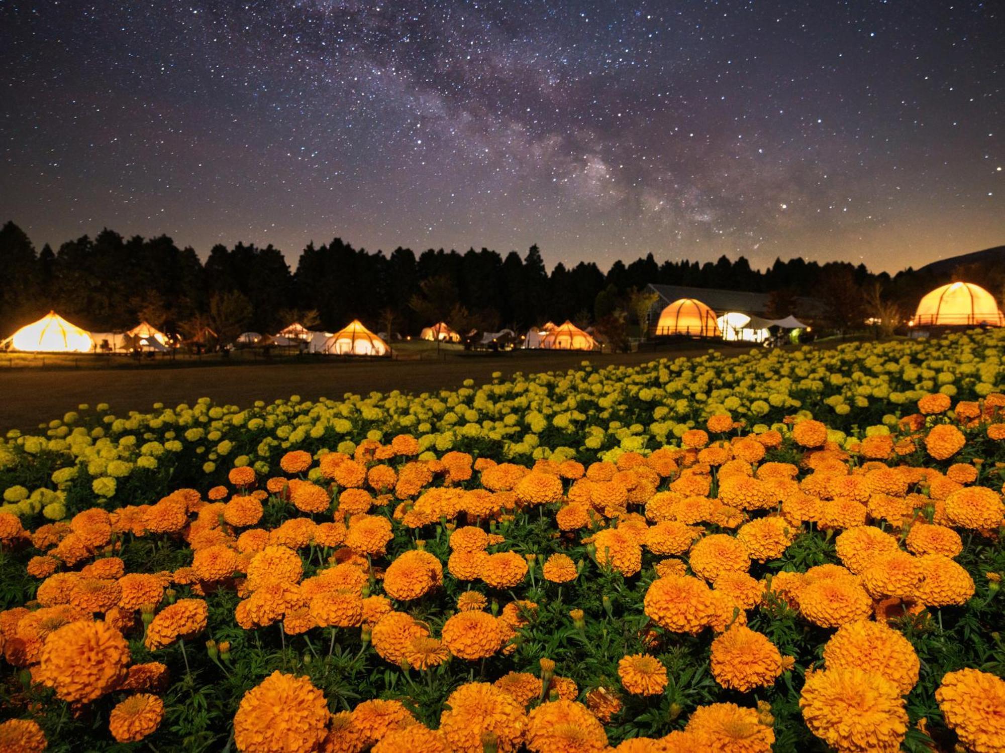 くじゅう花公園　キャンピングリゾート花と星 Kuju 외부 사진