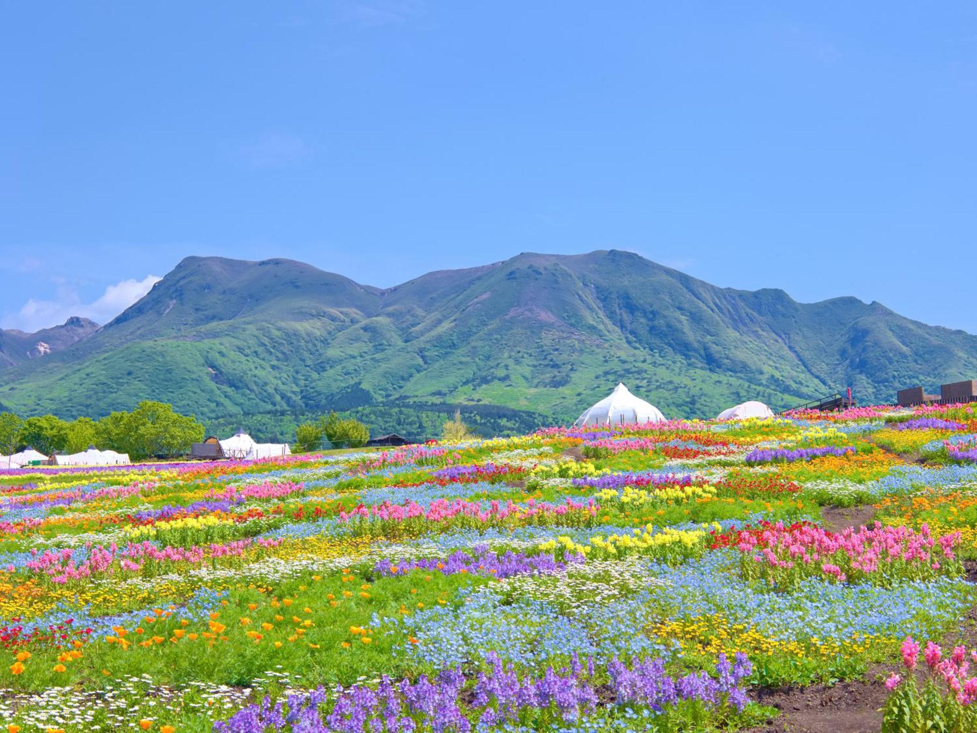 くじゅう花公園　キャンピングリゾート花と星 Kuju 외부 사진