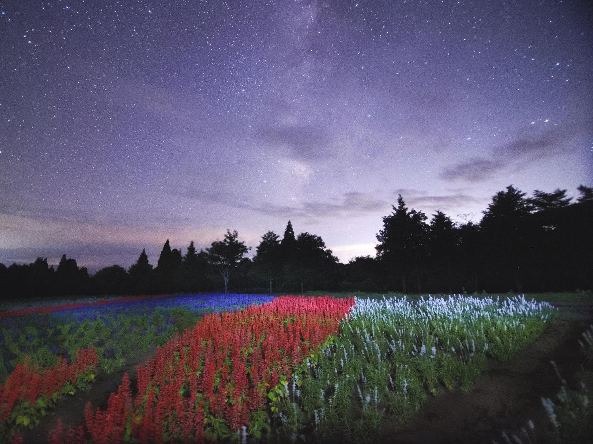 くじゅう花公園　キャンピングリゾート花と星 Kuju 외부 사진