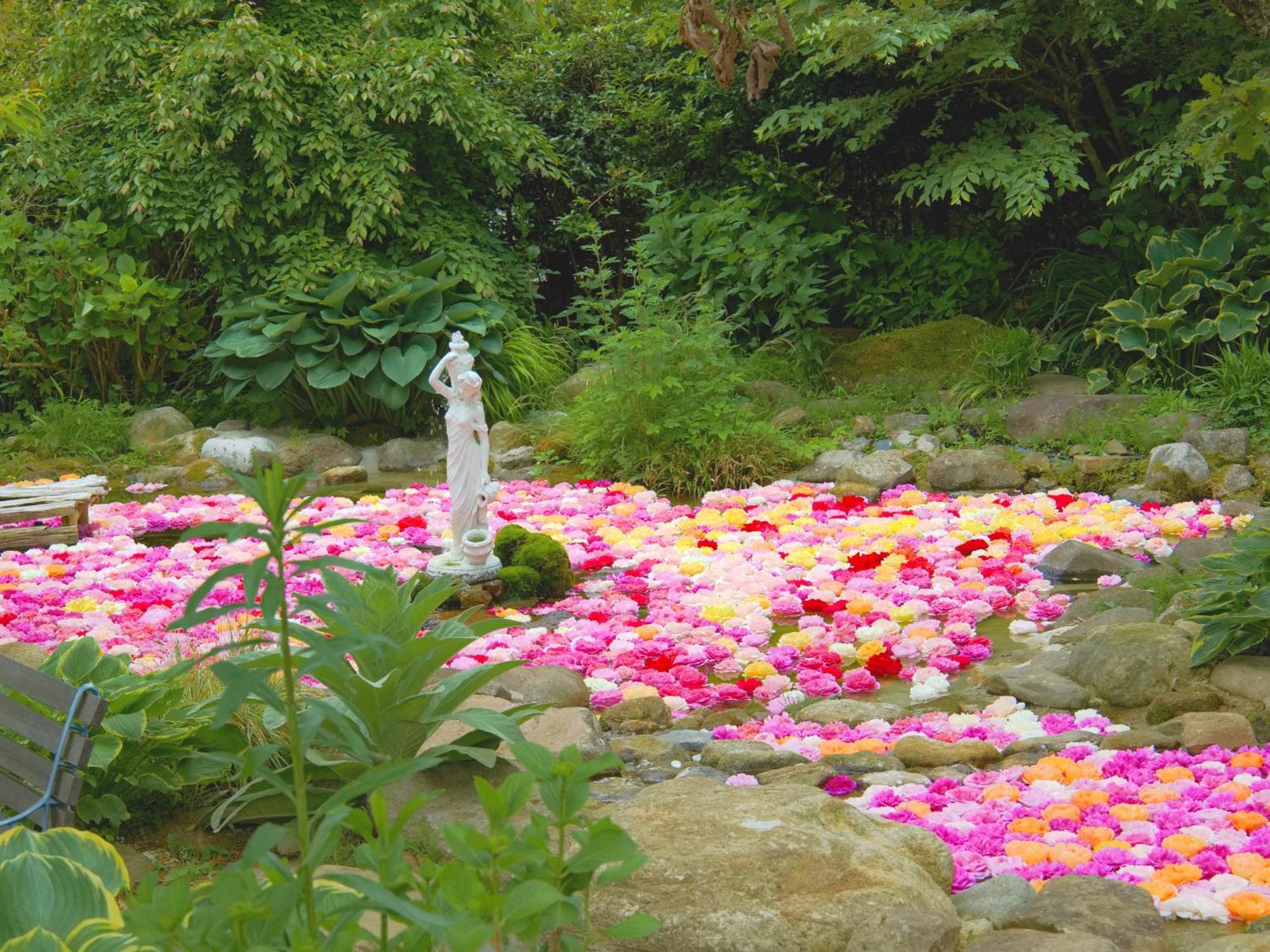 くじゅう花公園　キャンピングリゾート花と星 Kuju 외부 사진