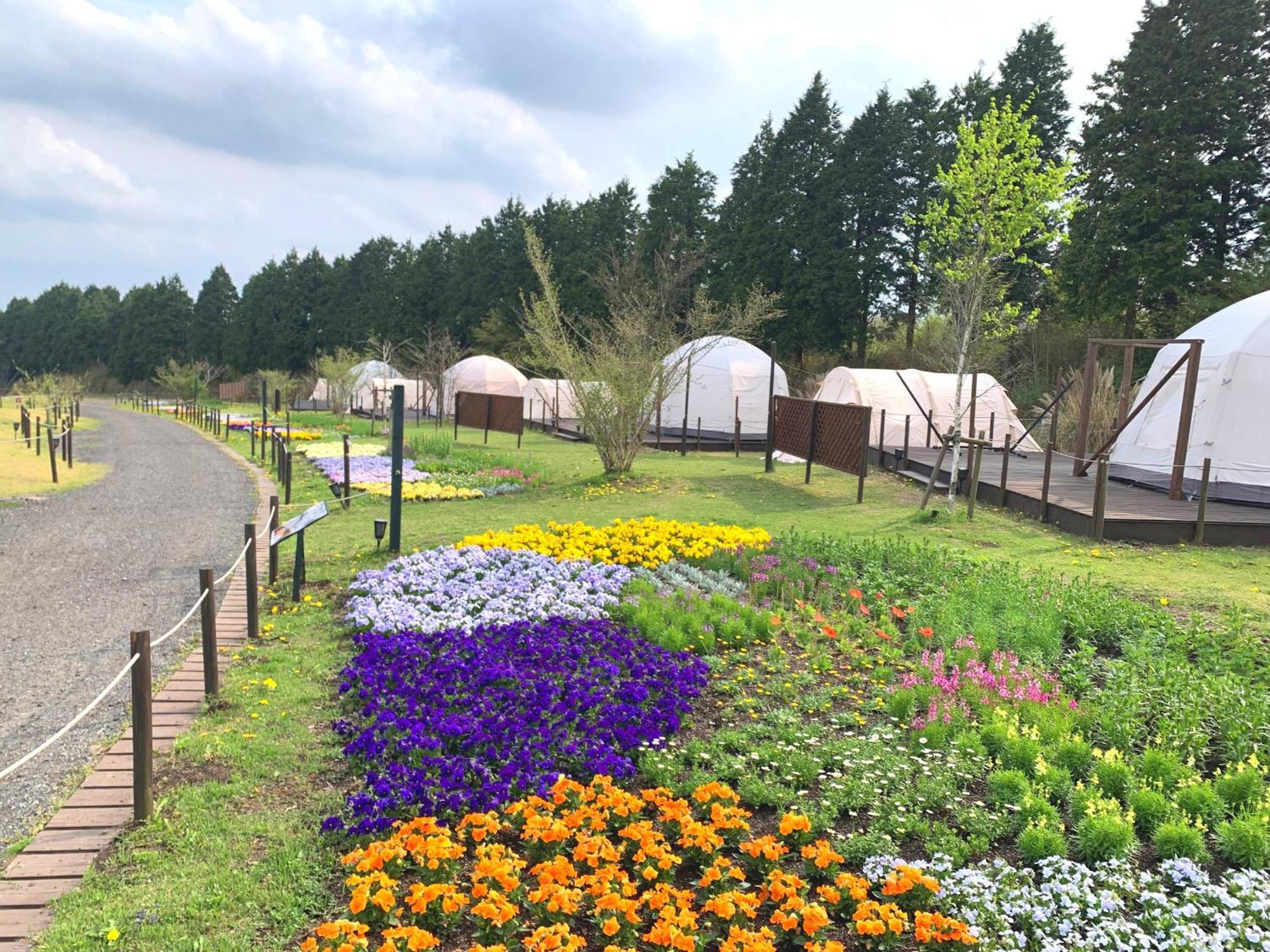 くじゅう花公園　キャンピングリゾート花と星 Kuju 외부 사진