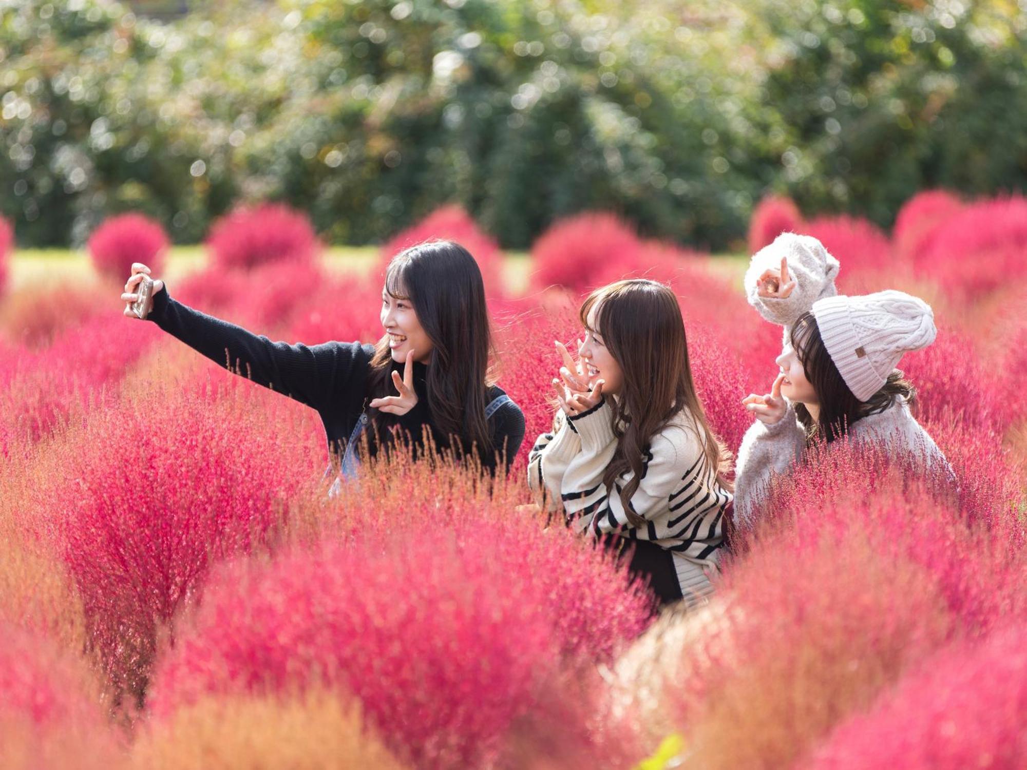 くじゅう花公園　キャンピングリゾート花と星 Kuju 외부 사진