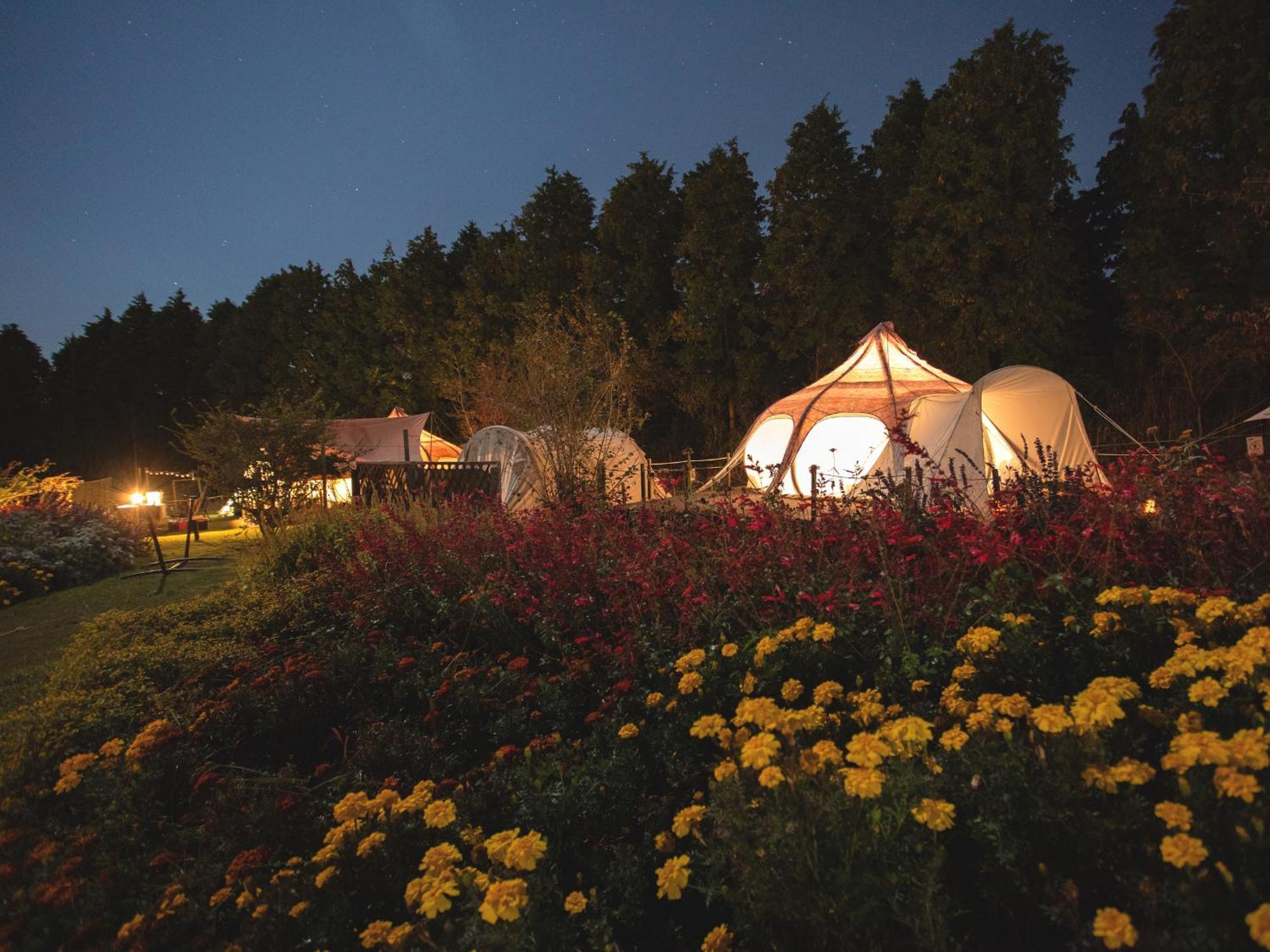 くじゅう花公園　キャンピングリゾート花と星 Kuju 외부 사진