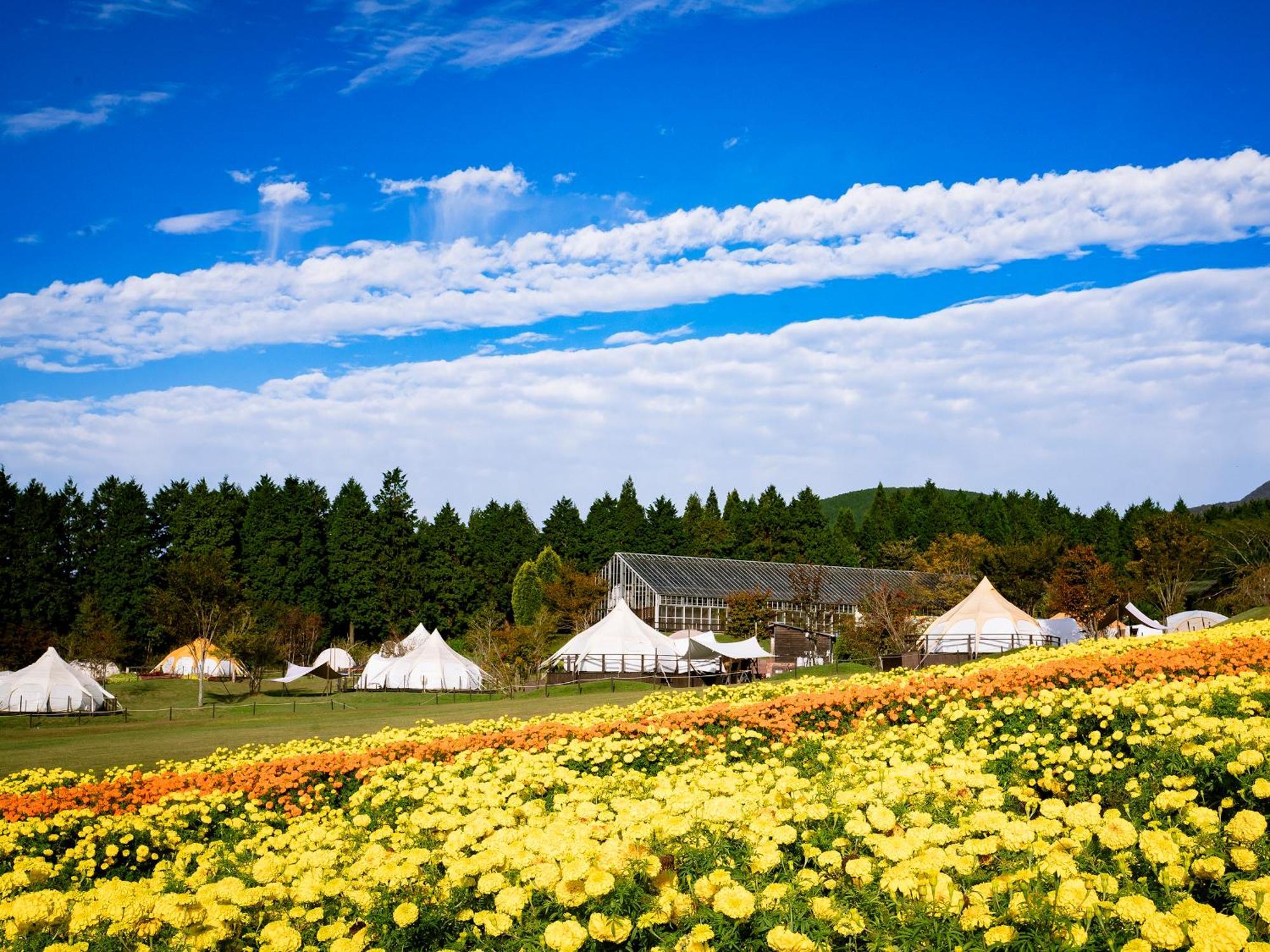 くじゅう花公園　キャンピングリゾート花と星 Kuju 외부 사진