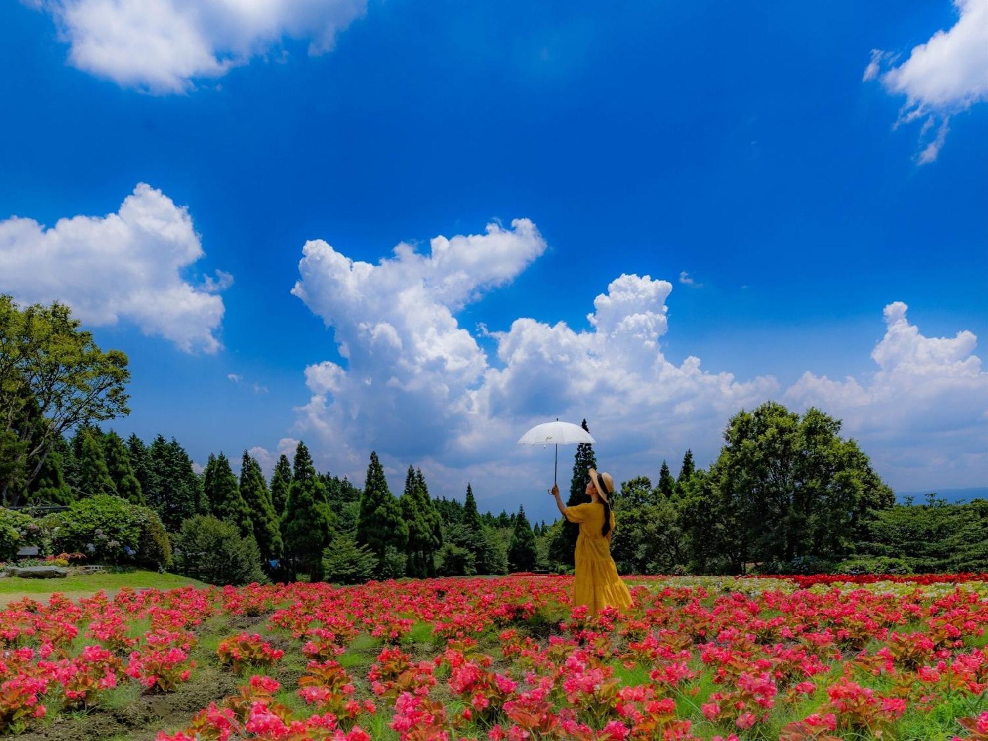 くじゅう花公園　キャンピングリゾート花と星 Kuju 외부 사진