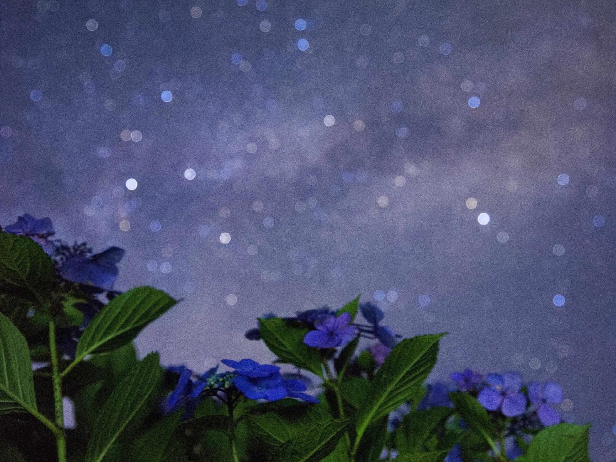 くじゅう花公園　キャンピングリゾート花と星 Kuju 외부 사진