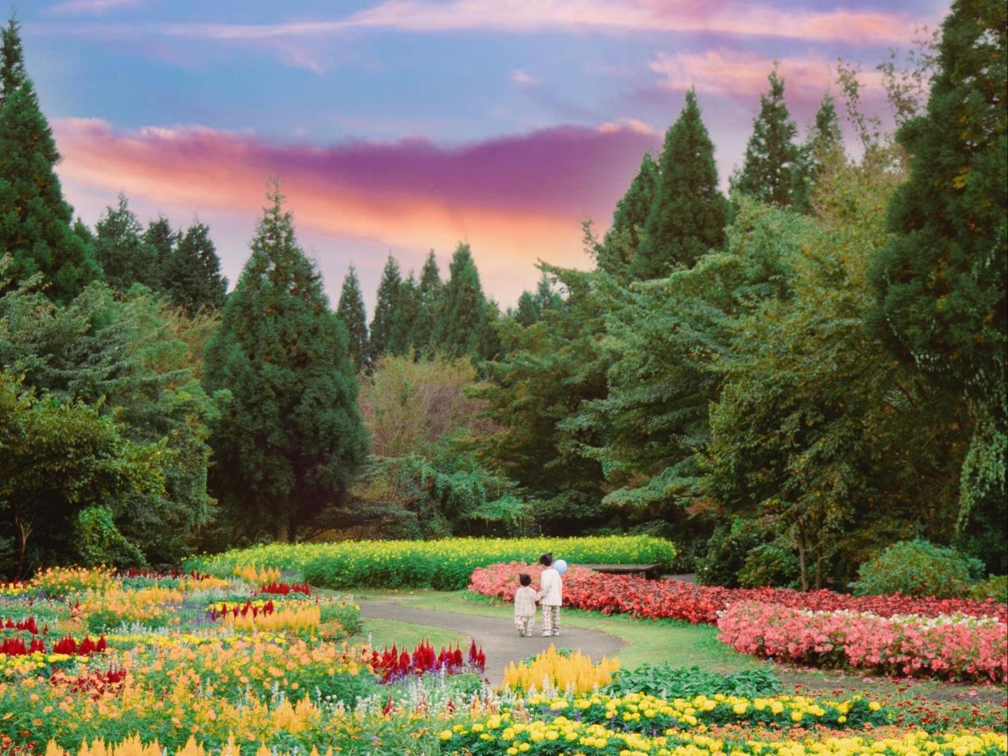 くじゅう花公園　キャンピングリゾート花と星 Kuju 외부 사진